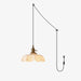 French Flower Pendant Swag Light - Simprolos