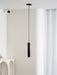Fulcrum Pendant Light - Simprolos