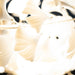 Gingko Chandelier A - Simprolos