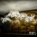 Gingko Chandelier C - Simprolos