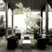 Gingko Chandelier C - Simprolos