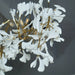 Gingko Chandelier C - Simprolos