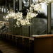 Gingko Chandelier C - Simprolos