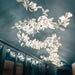 Gingko Chandelier C - Simprolos
