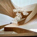 Gingko Chandelier C - Simprolos