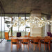 Gingko Chandelier E - Simprolos