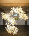 Gingko Chandelier F - Simprolos
