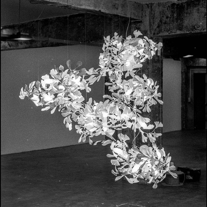 Gingko Chandelier F - Simprolos