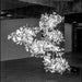 Gingko Chandelier F - Simprolos