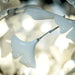 Gingko Chandelier F - Simprolos