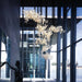 Gingko Chandelier F - Simprolos