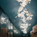 Gingko Chandelier G - Simprolos