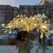 Gingko Chandelier G - Simprolos