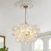 Glass Ball Bubbles Chandelier - Simprolos