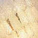 Glass Dewdrop Chandelier - Simprolos