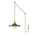 Glass Hibiscus Flower Swag Light - Simprolos