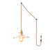 Glass Hibiscus Flower Swag Light - Simprolos