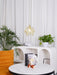 Glass Petal Pendant Light - Simprolos