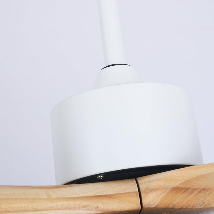Harborough 3 Ceiling Fan Light - Simprolos