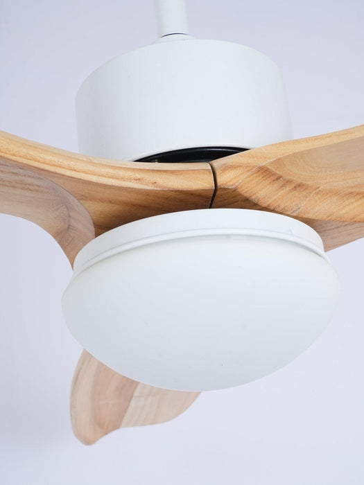 Harborough 3 Ceiling Fan Light - Simprolos