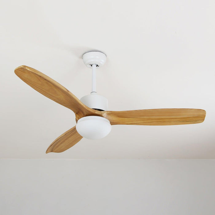 Harborough 3 Ceiling Fan Light - Simprolos