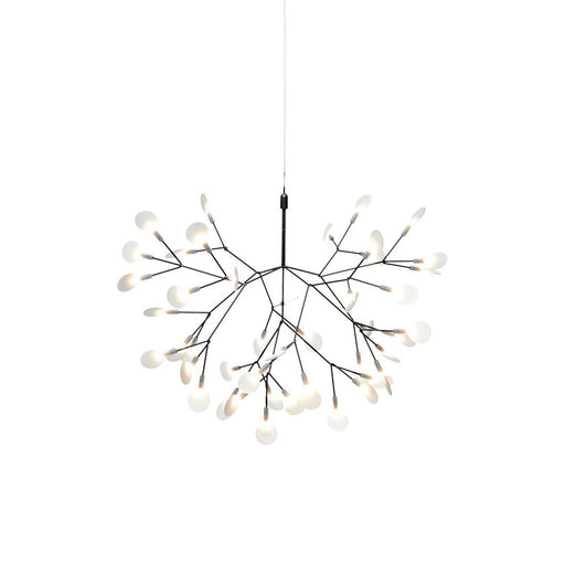 Heracleum Chandelier - Simprolos