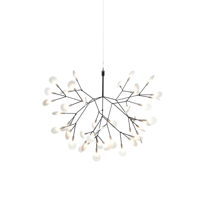 Heracleum Chandelier - Simprolos