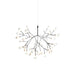 Heracleum Chandelier - Simprolos