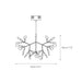 Heracleum Chandelier - Simprolos