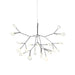 Heracleum Chandelier - Simprolos