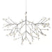 Heracleum Chandelier - Simprolos