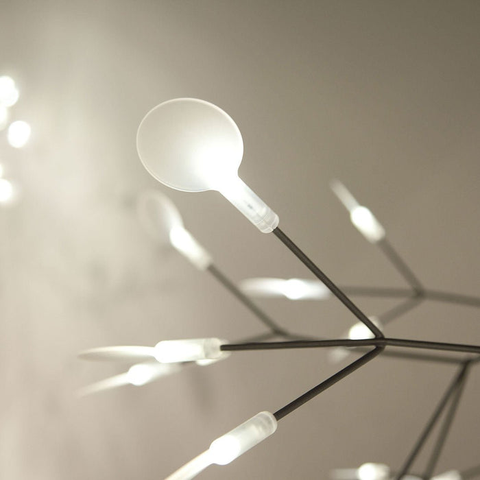 Heracleum Chandelier - Simprolos
