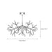 Heracleum Chandelier - Simprolos