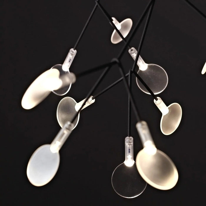 Heracleum Chandelier - Simprolos