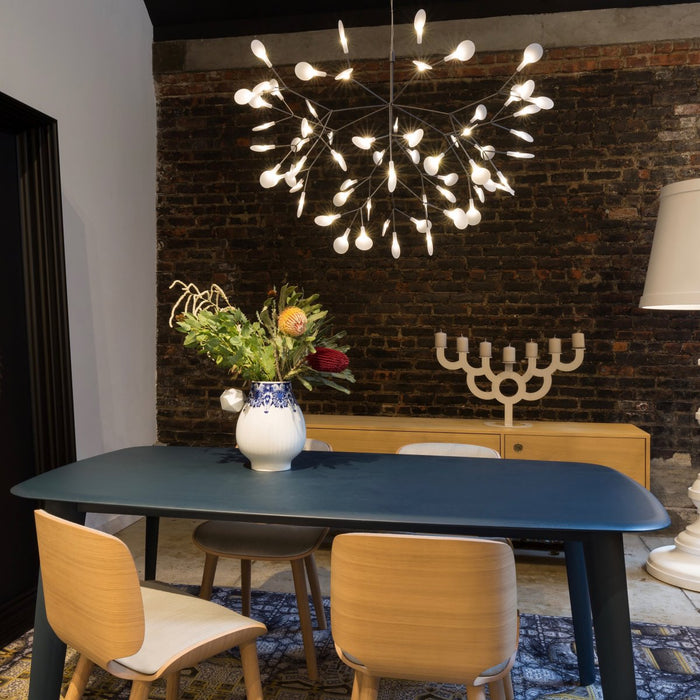 Heracleum Chandelier - Simprolos