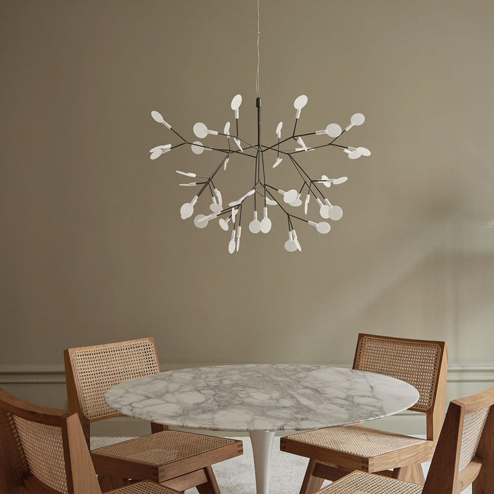 Heracleum Chandelier - Simprolos
