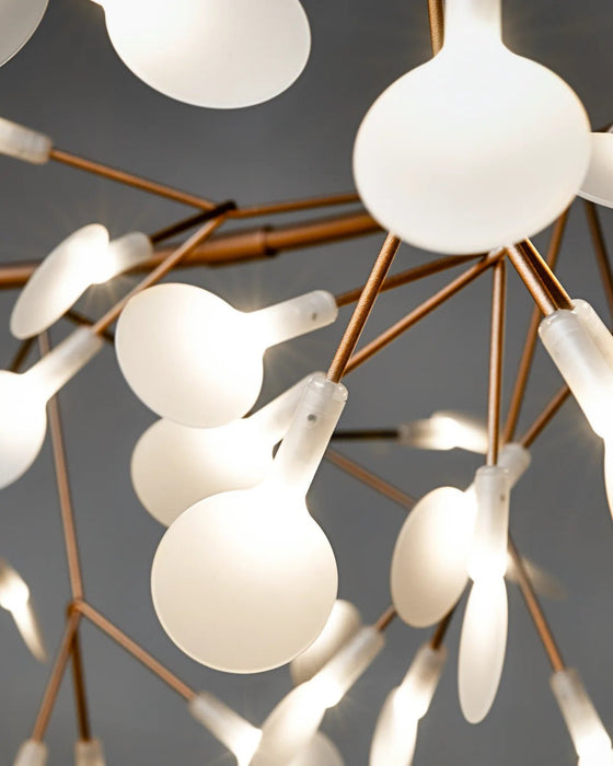 Heracleum Chandelier - Simprolos