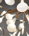 Heracleum Chandelier - Simprolos