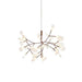 Heracleum Chandelier - Simprolos
