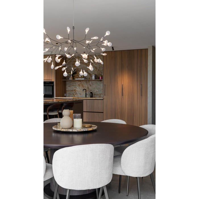 Heracleum Chandelier - Simprolos