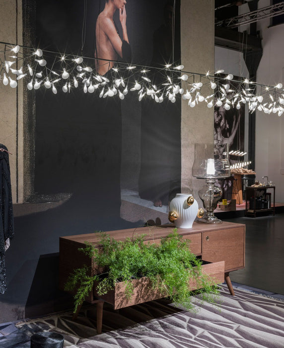 Heracleum Chandelier - Simprolos