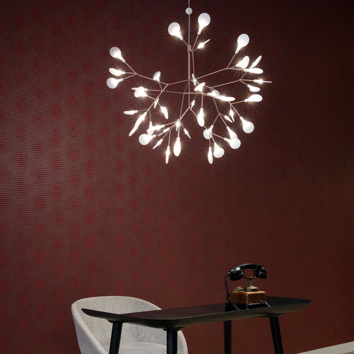 Heracleum Chandelier - Simprolos
