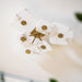 Holmdel Alabaster Ceiling Lamp - Simprolos