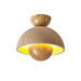 Inverted Ceiling Lamp - Simprolos