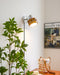 Karry Plug - in Wall Lamp - Simprolos