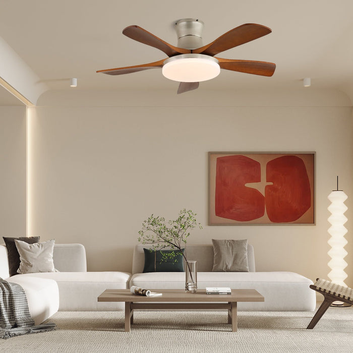 Liam Ceiling Fan Light - Simprolos