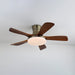 Liam Ceiling Fan Light - Simprolos