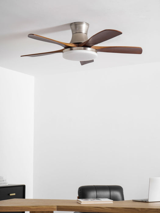 Liam Ceiling Fan Light - Simprolos