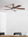 Liam Ceiling Fan Light - Simprolos