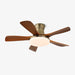 Liam Ceiling Fan Light - Simprolos